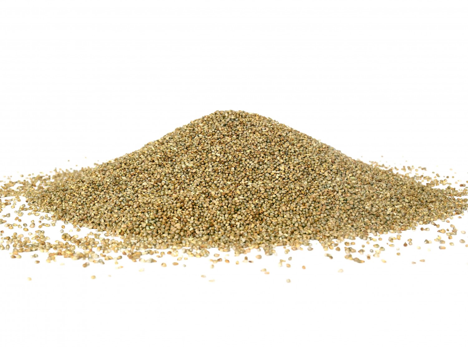 Bajra (Pearl Millet), बाजरी bajra whole grain With Omega-3 Fats For Weight Loss & Digestive Health,Rich in Nutrients & fibre